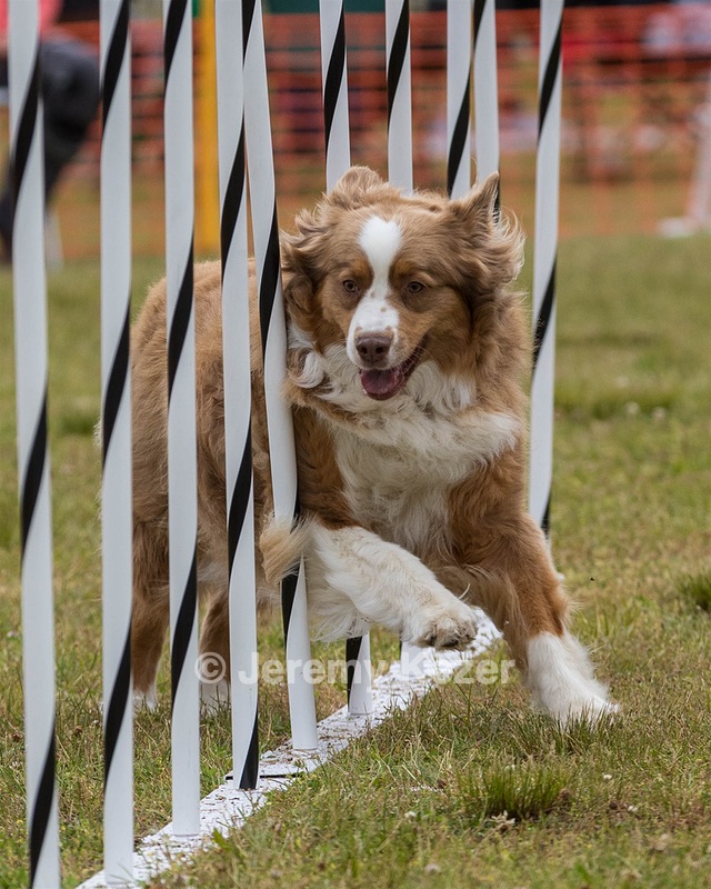 Nellie Etre