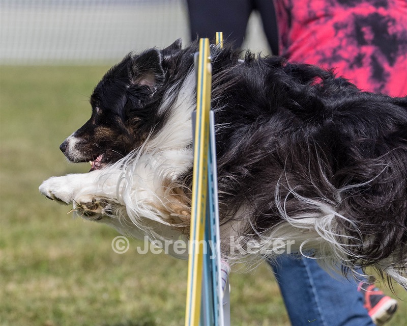 20230916-PVKC-1205.jpg