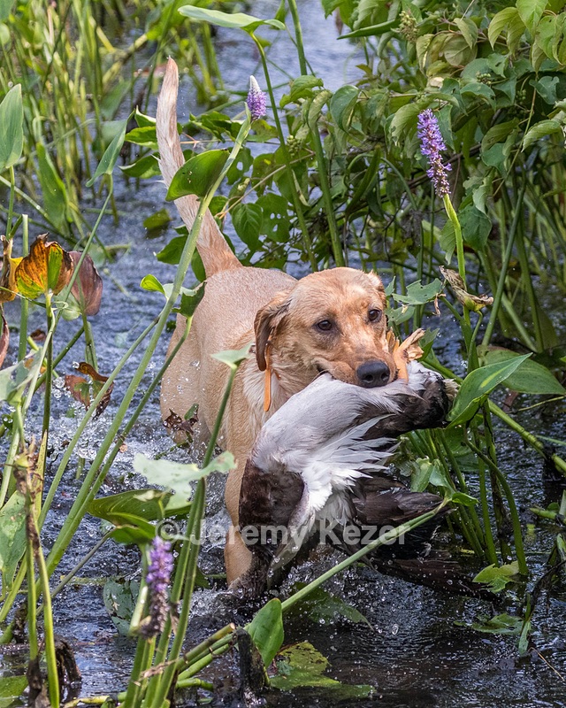 Winnie Valentino