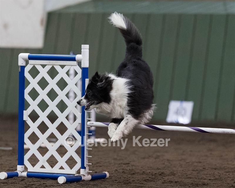 Breeze Schunk