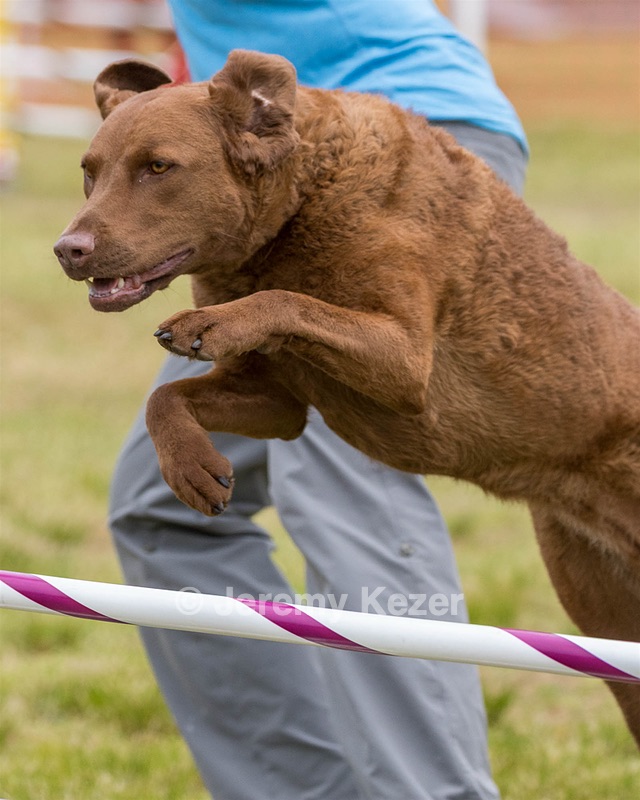Tillie Cross