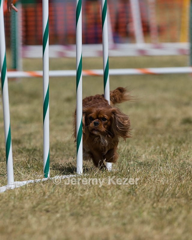 20150614-CCKC-1832.jpg