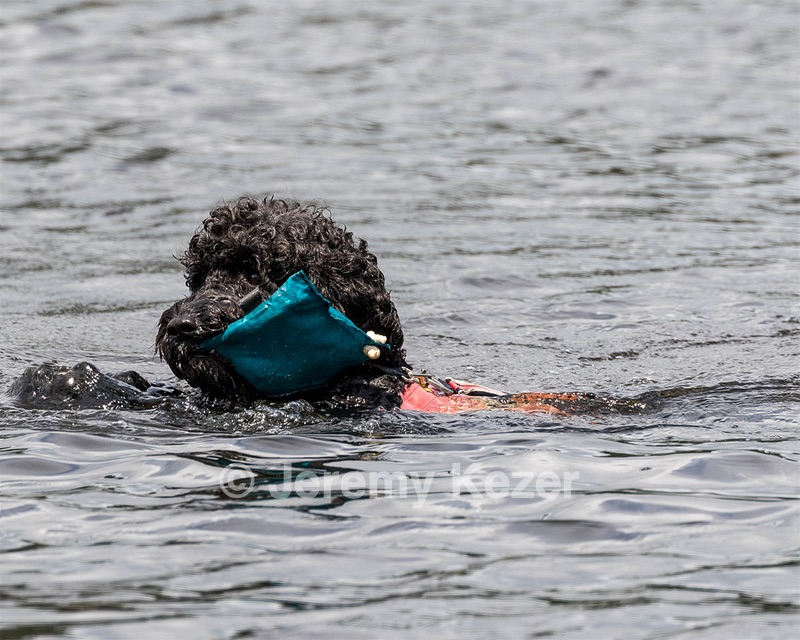 "Perry" & Diana