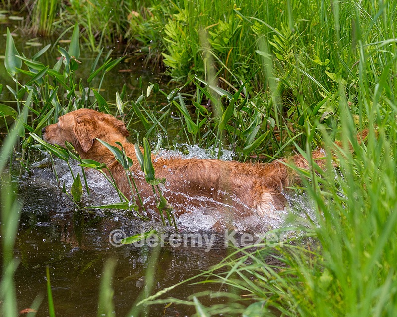 20170604-SEAW-0011.jpg