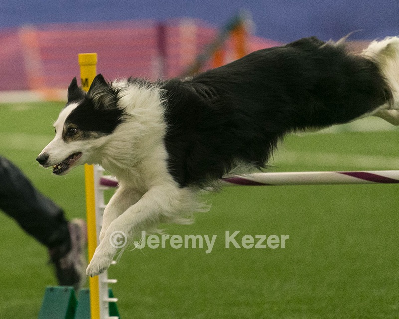 20150321-LEAP-0881.jpg