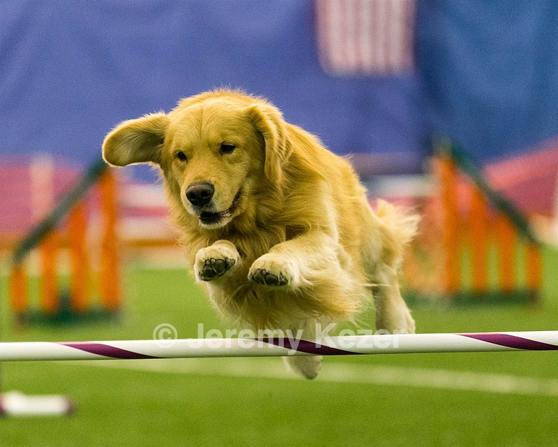 20150321-LEAP-0515.jpg