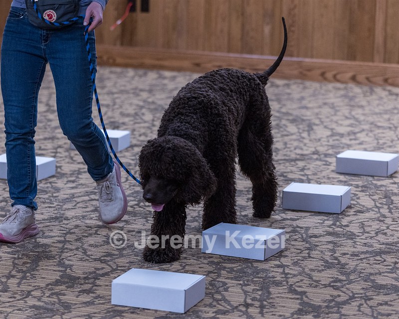 Oscar