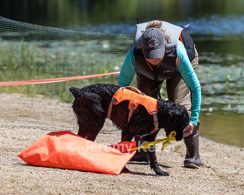 Forge Kennedy