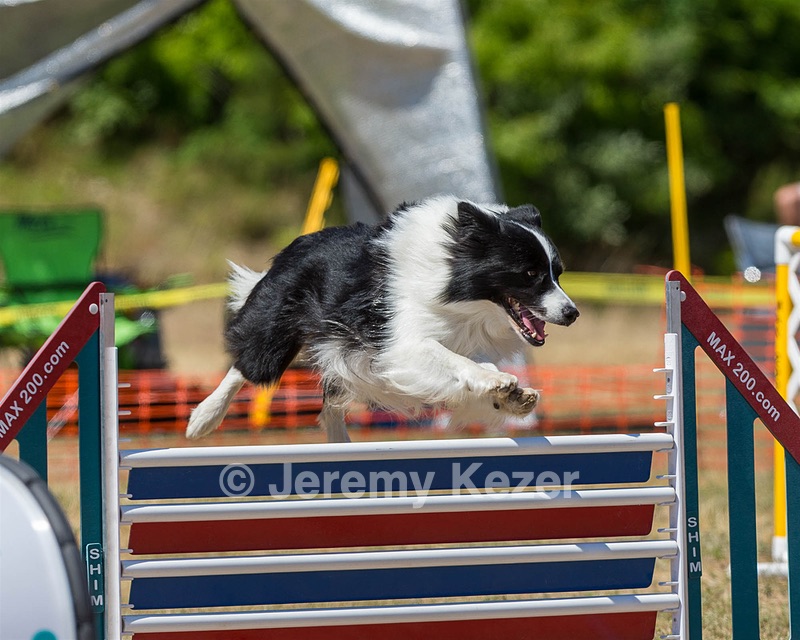 20160619-CCKC-1336.jpg