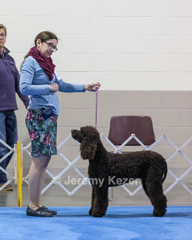 20190112-ASC-0371.jpg