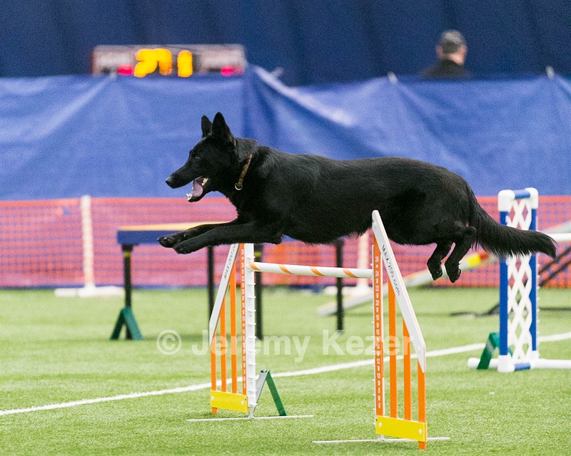 Dash Mathieu
