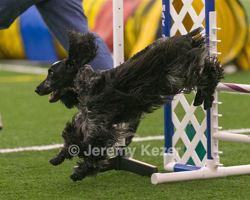 20150321-LEAP-0353.jpg