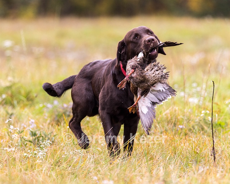 Gunny Fisher