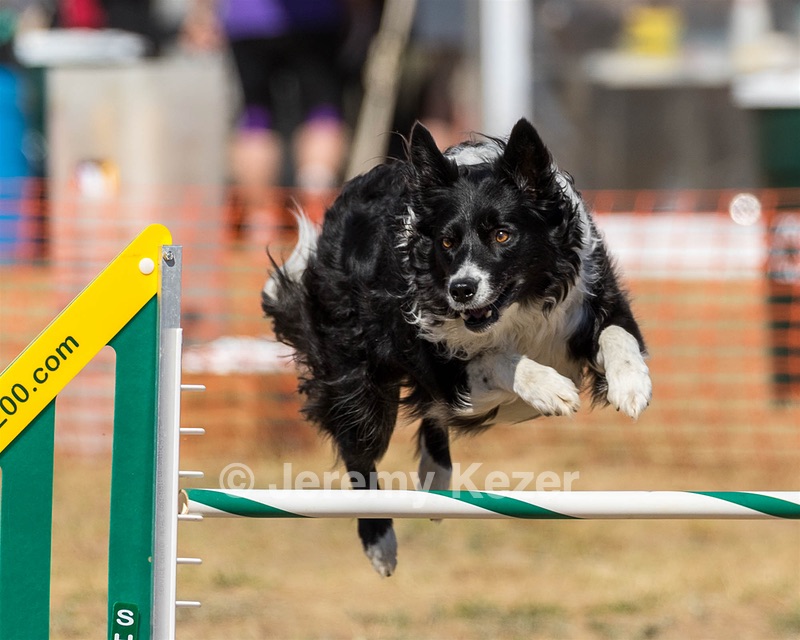 20160619-CCKC-1799.jpg