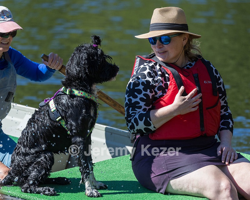 Dottie Notestine