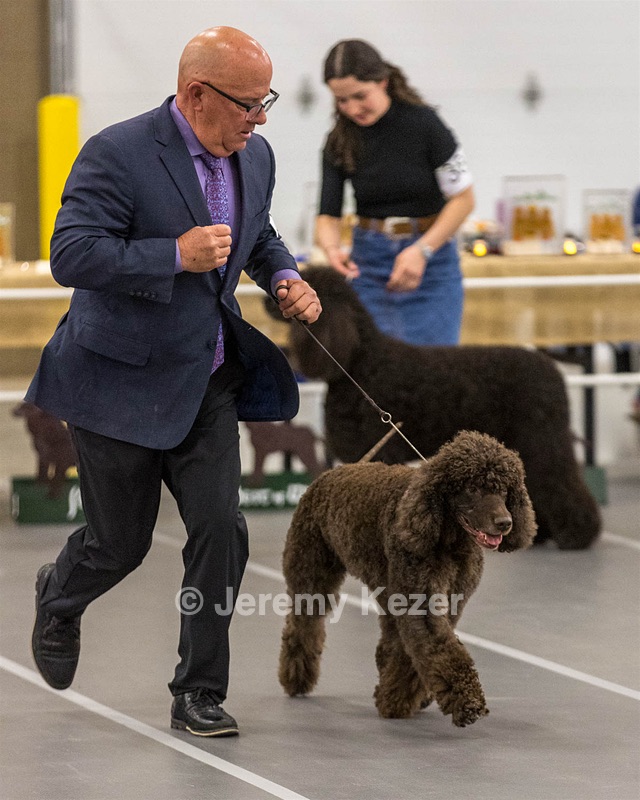 36 - GCH Blackthorn’s Lass That Loves A Sailor in Wicklow CD
RM CGC
