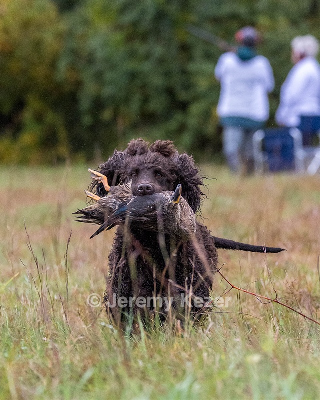 Ghillie Kezer