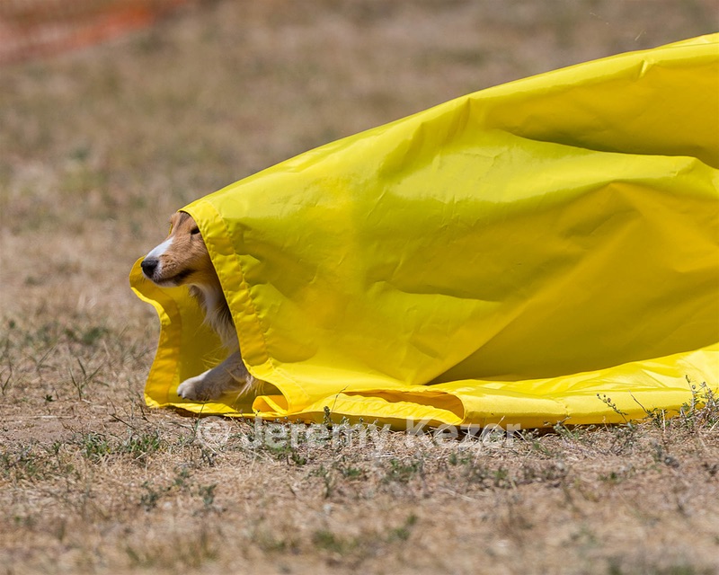 20160619-CCKC-1235.jpg