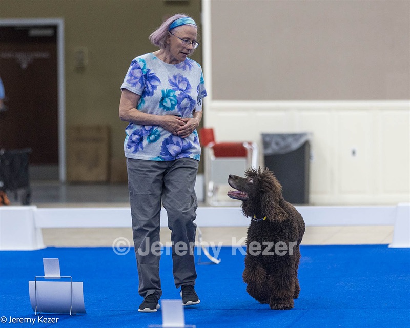 R26 - CH CUBOGLACH ROSY MAPLE RAE CAA BCAT SWME RATS DJ DN CGC TKN FTN
