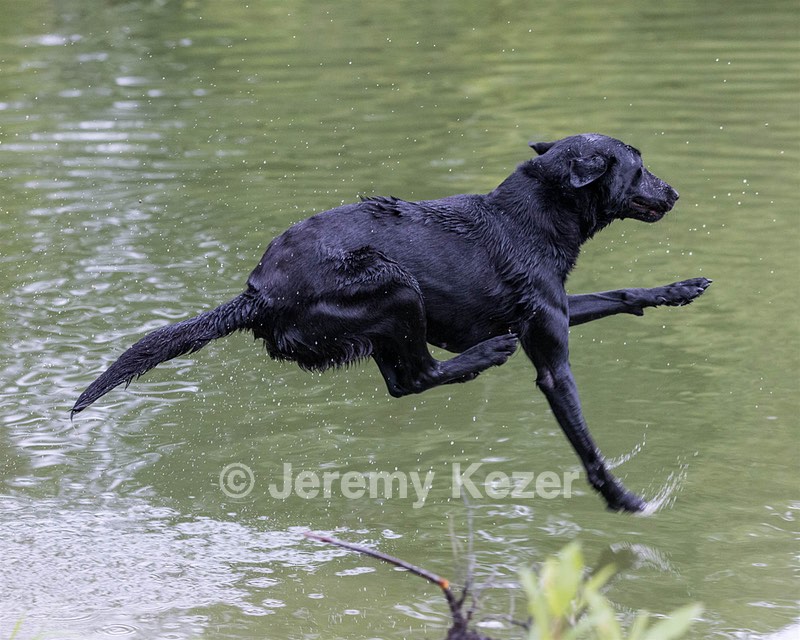 Ziva Jefferson