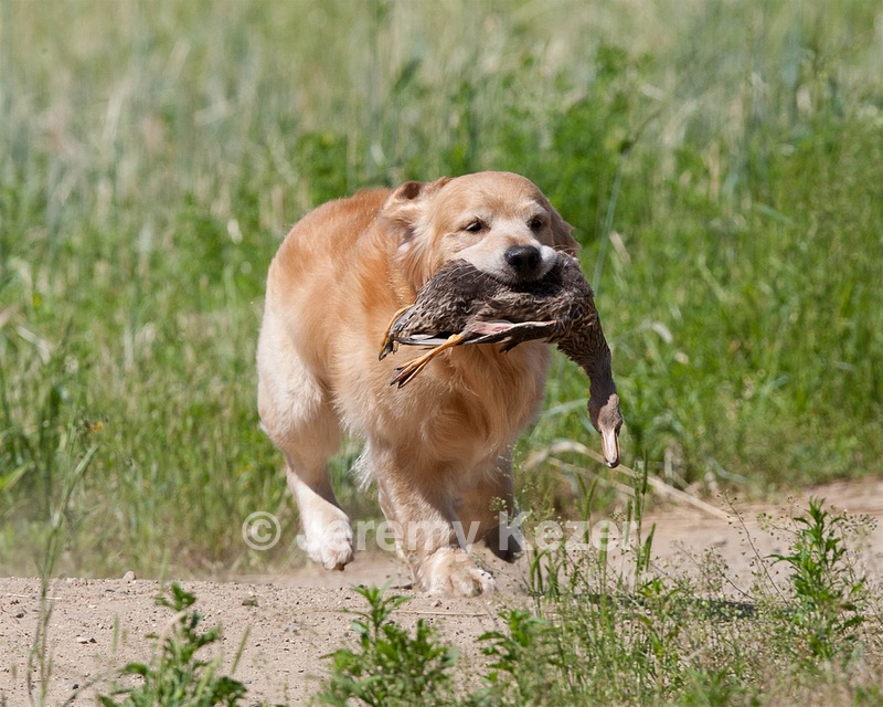 20130602-SEAL-0255.jpg