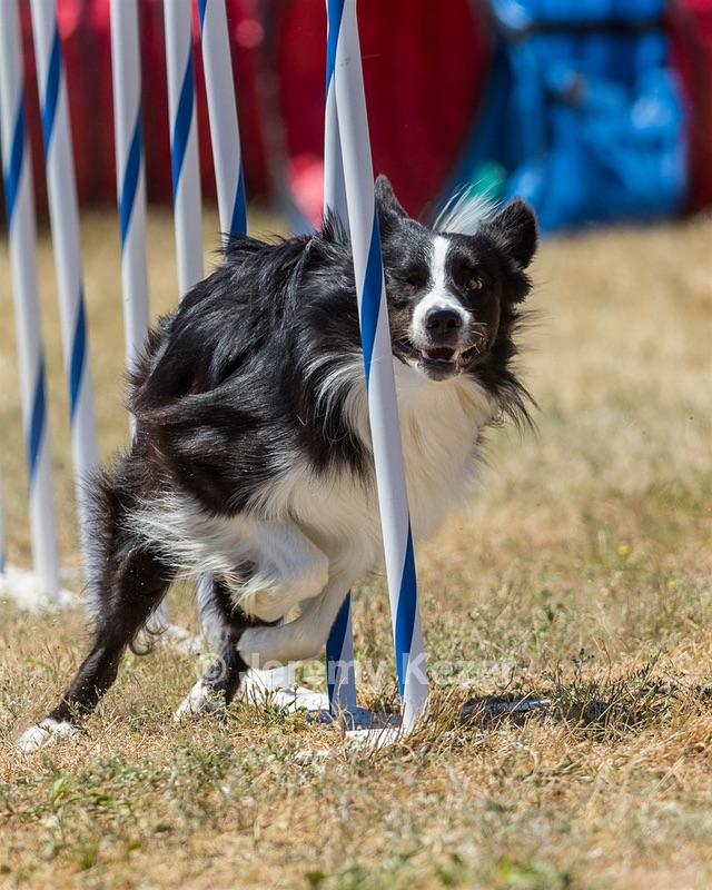 20160618-CCKC-1527.jpg