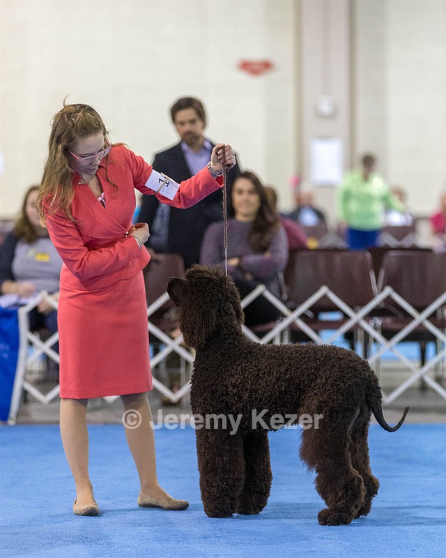 10 - Poole's Ide Touch Of Mink (Darla)