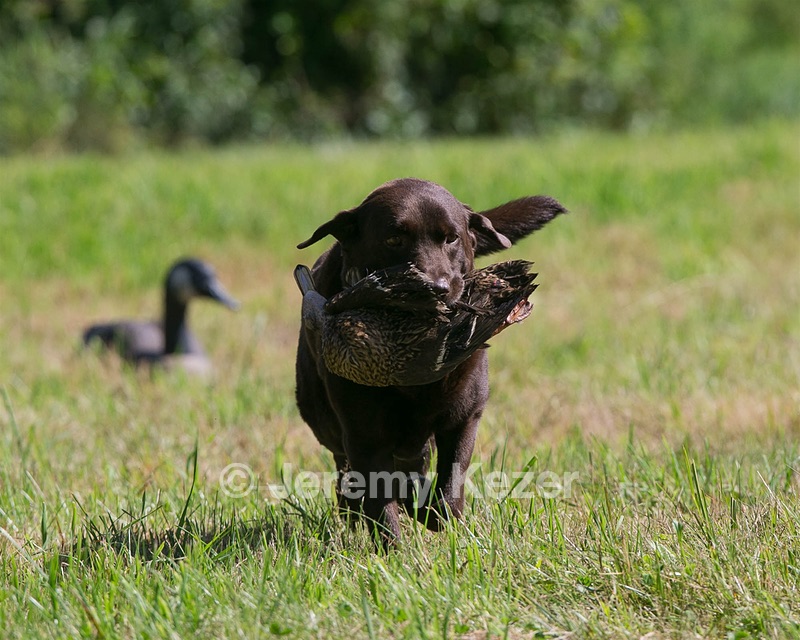 Kirby Corrigan