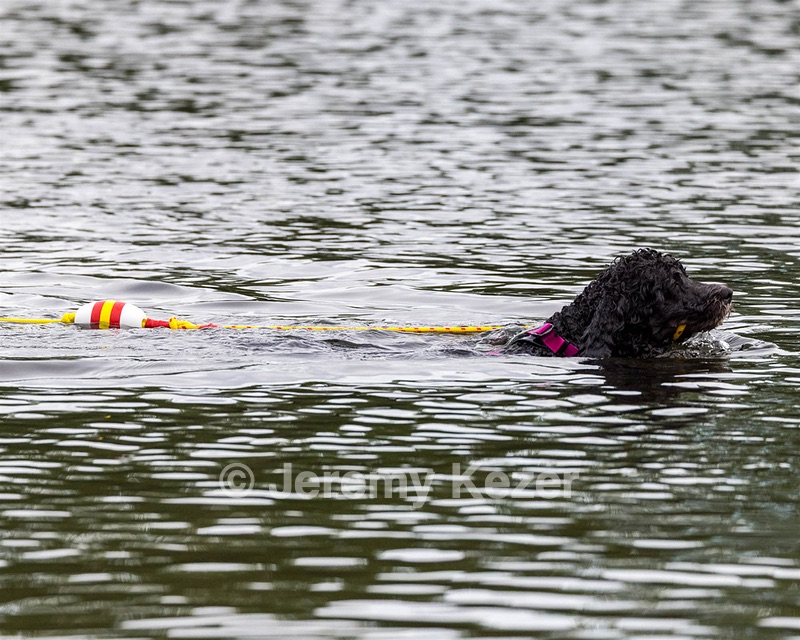 Tango Abbruzzese