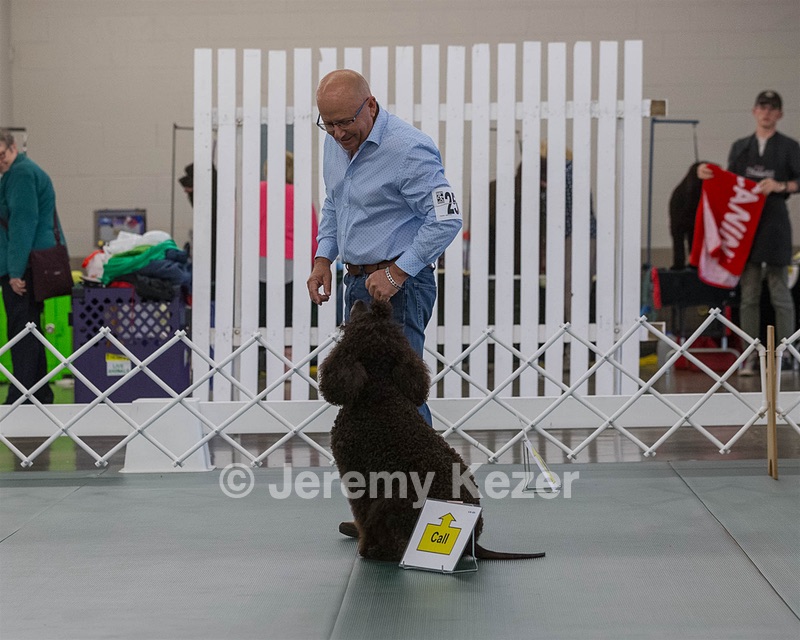 2503 - GCH CH BLACKTHORN'S KEEVA CROMPTON AX AXJ XF RN CGC (Keeva)
