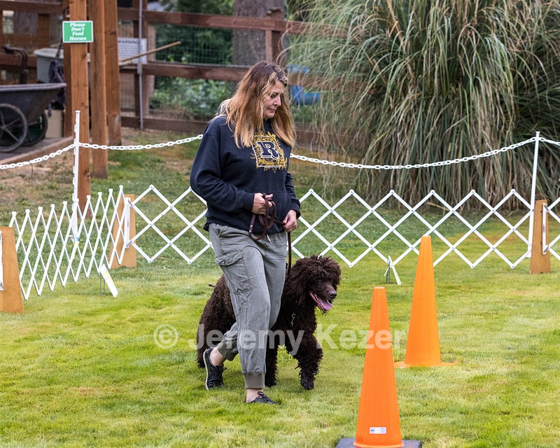 1741 - GCH CH BREKKON'S FIRST MARK CGC