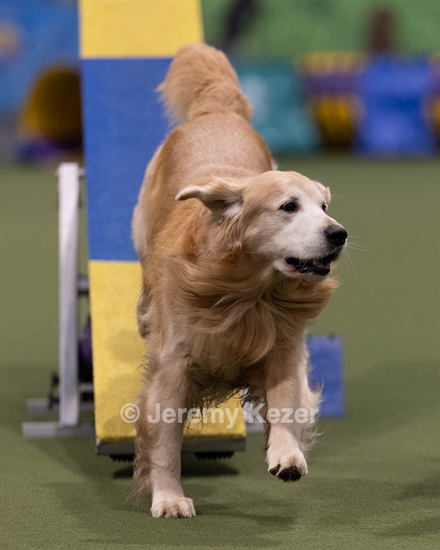 20260221-0811.jpg