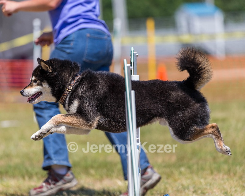20180617-1423.jpg