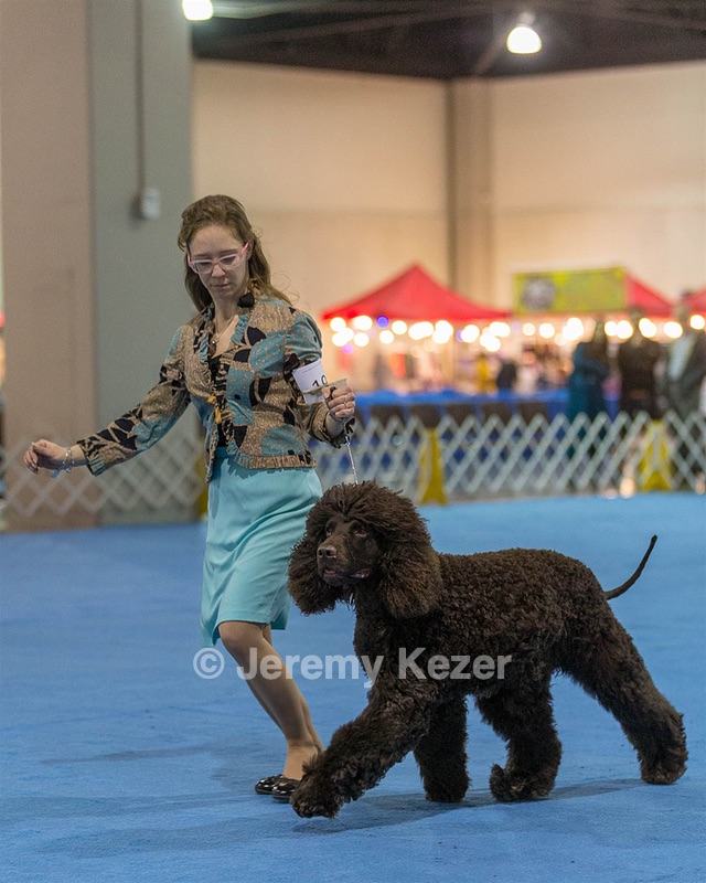 19 - GCH CH Axelhurn Now I'm Here (Marcus)
