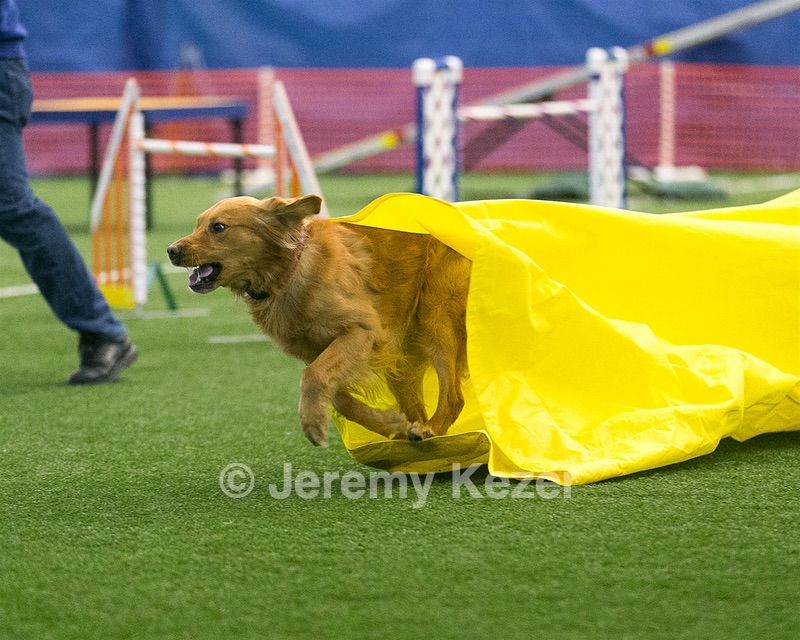 20150322-LEAP-0621.jpg