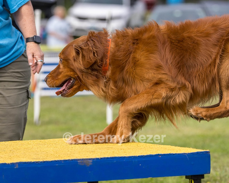 Blaze Beaulieu