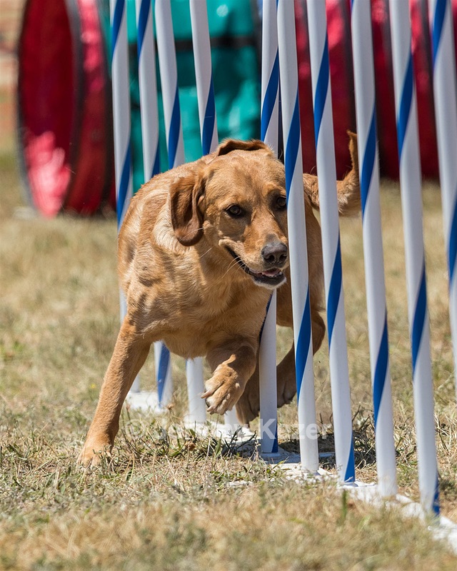 20160618-CCKC-1499.jpg