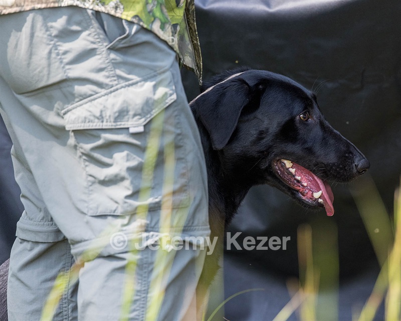 Ziva Jefferson