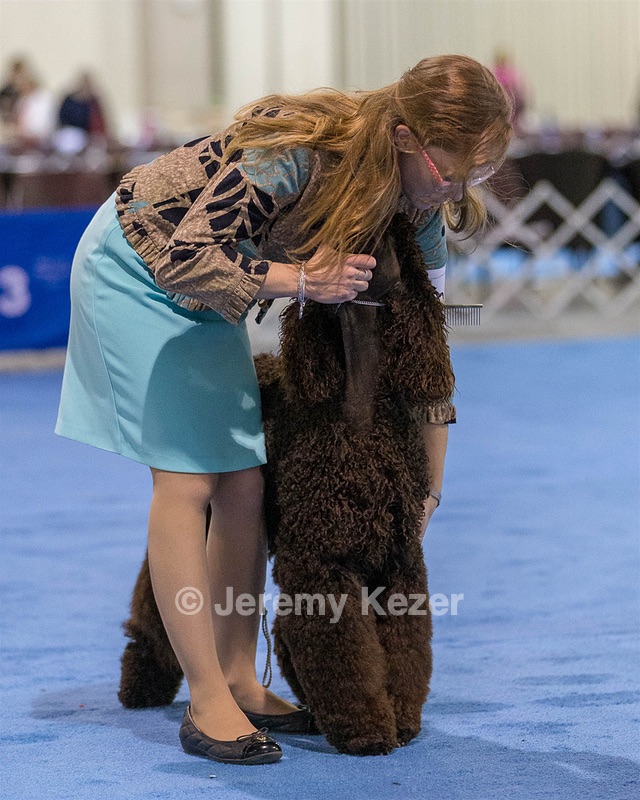 10 - Poole's Ide Touch Of Mink (Darla)