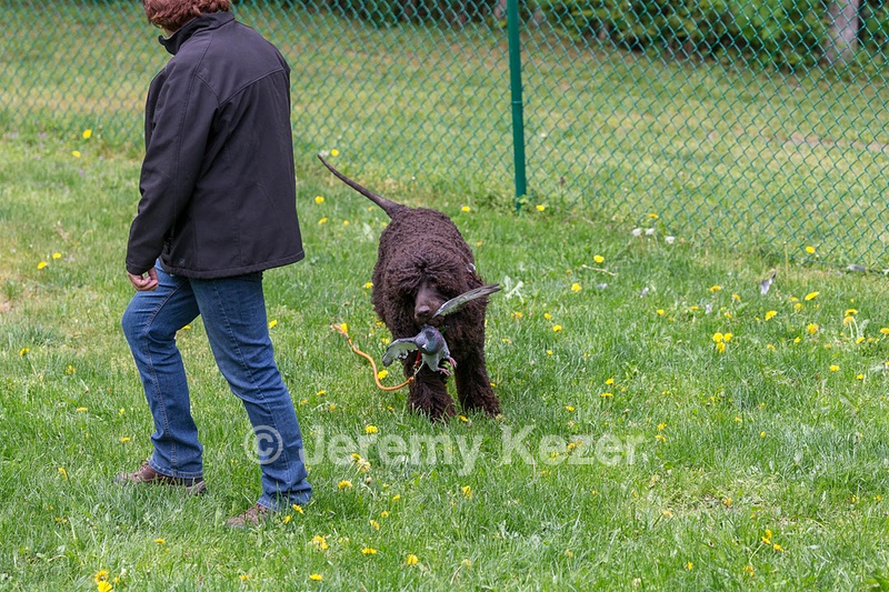 20190512-BD-0173.jpg