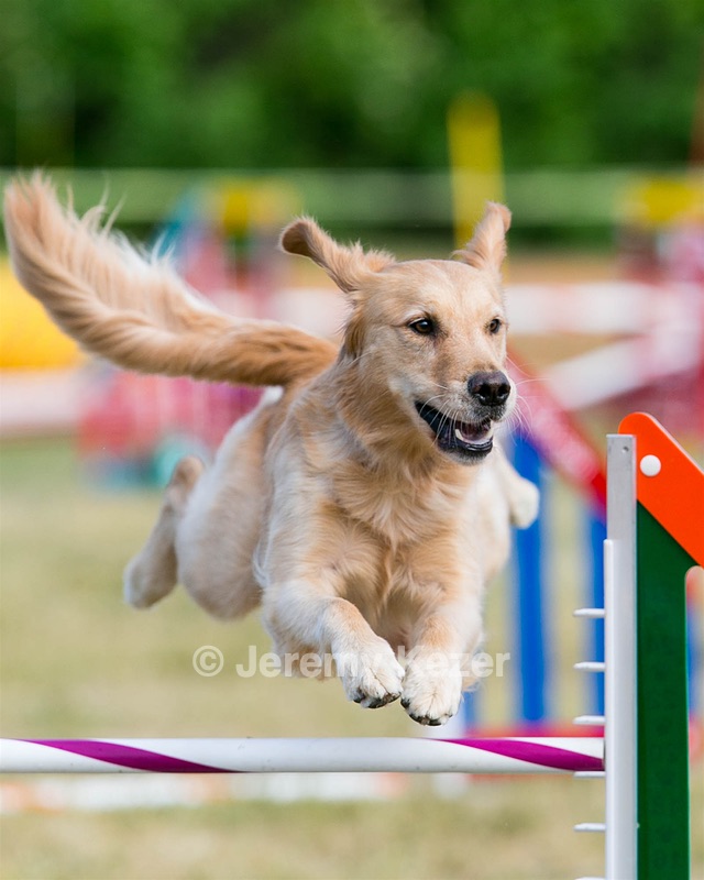 20150614-CCKC-0014.jpg