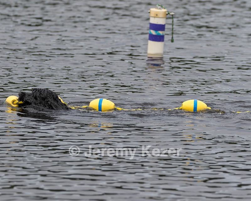 "Rory" & Patti