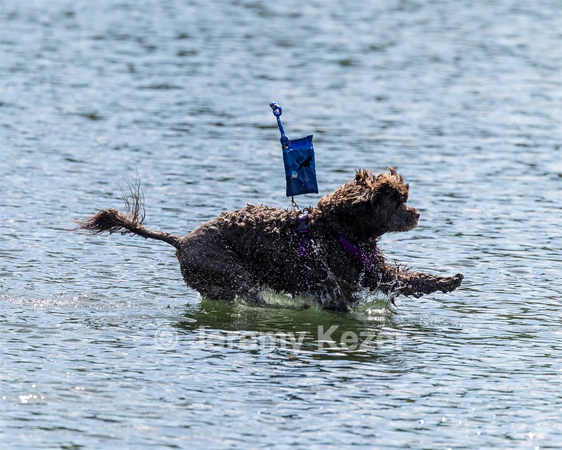 Jeepers Simmons