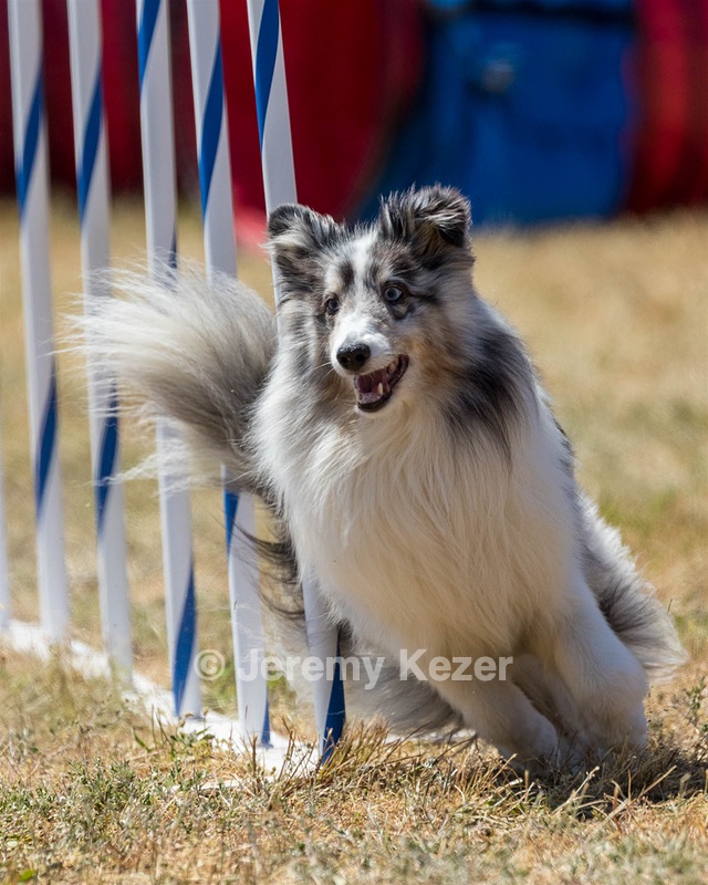 20160618-CCKC-1927.jpg