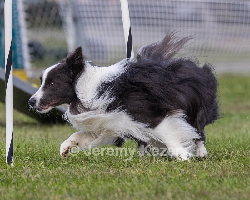 20230917-PVKC-2768.jpg