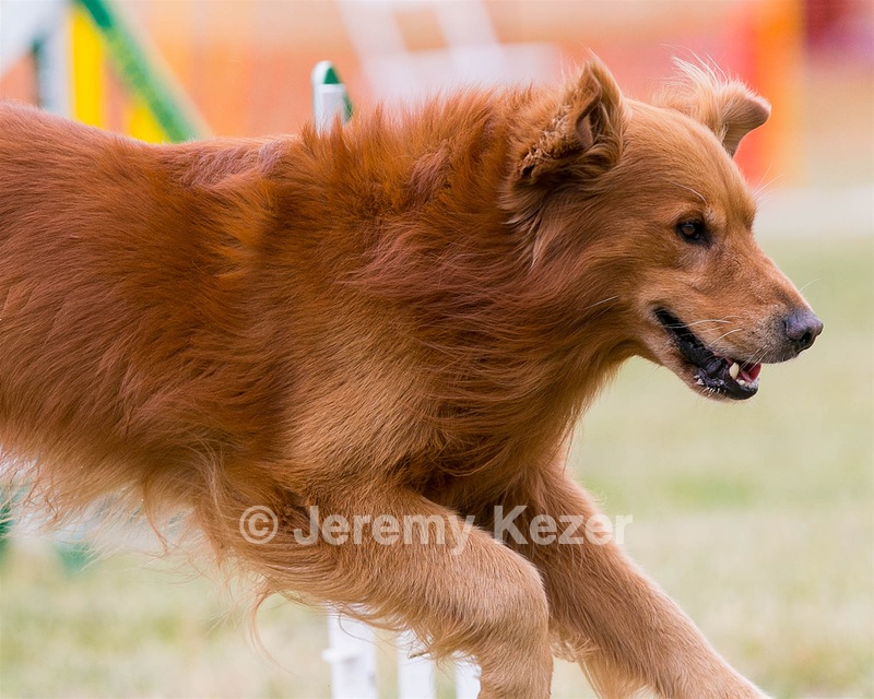 20150612-CCKC-0056.jpg
