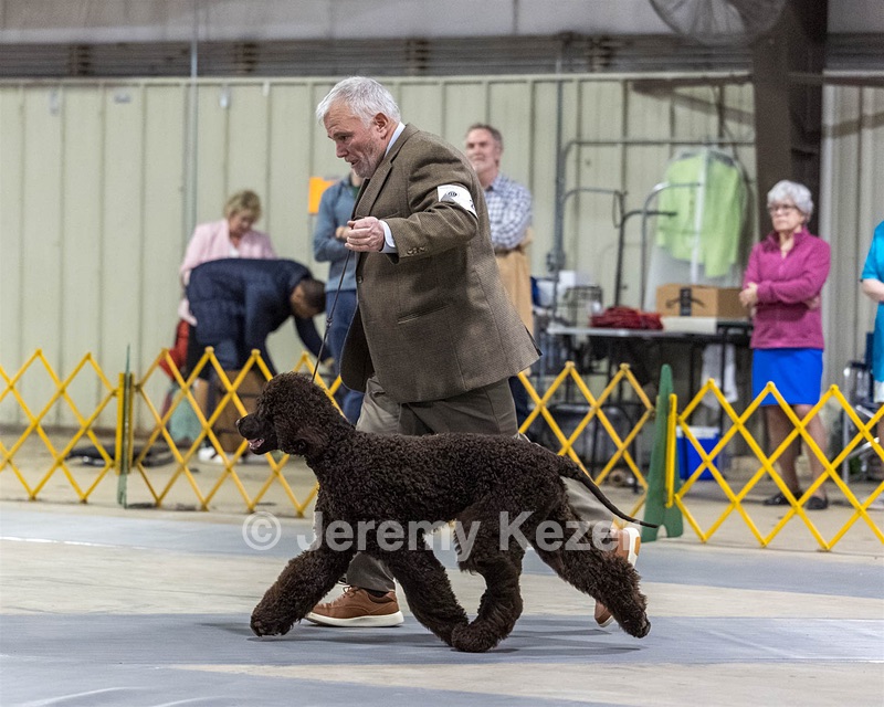 20260228-0217.jpg