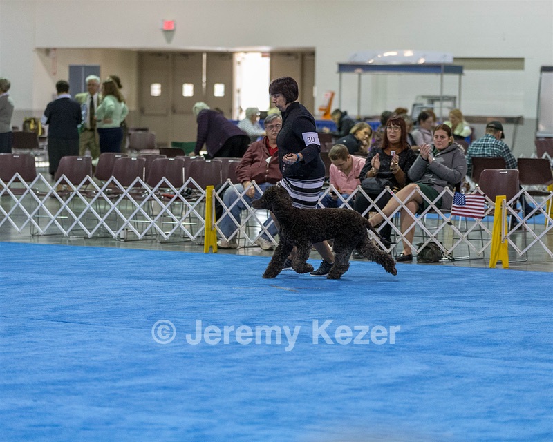 30 - GCH CH Chantico's Spirit In The Surf JH CD RA OA OAJ  NF (Selchie)
