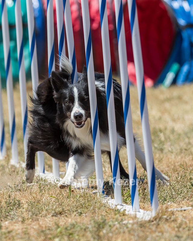 20160618-CCKC-1522.jpg