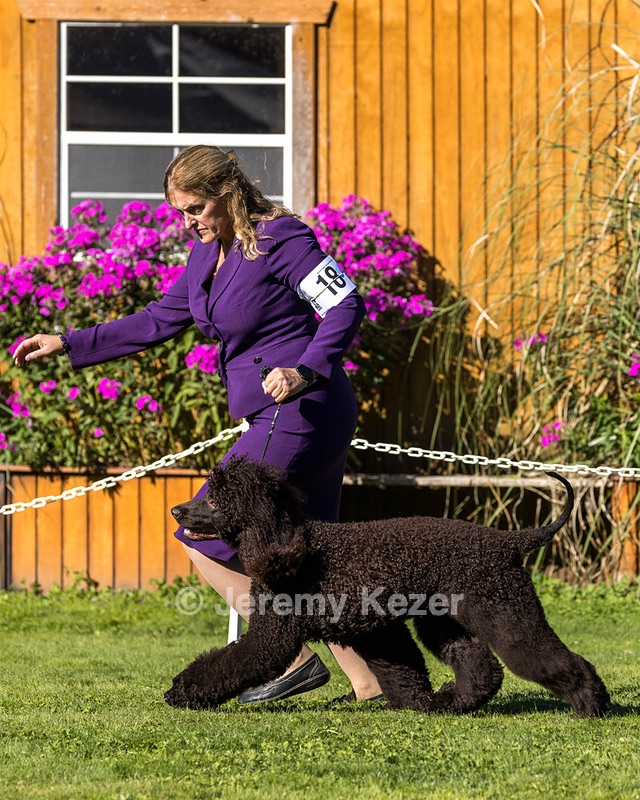 18 - CH FLINTCREST FLYING TRAPEZE (Kelly)